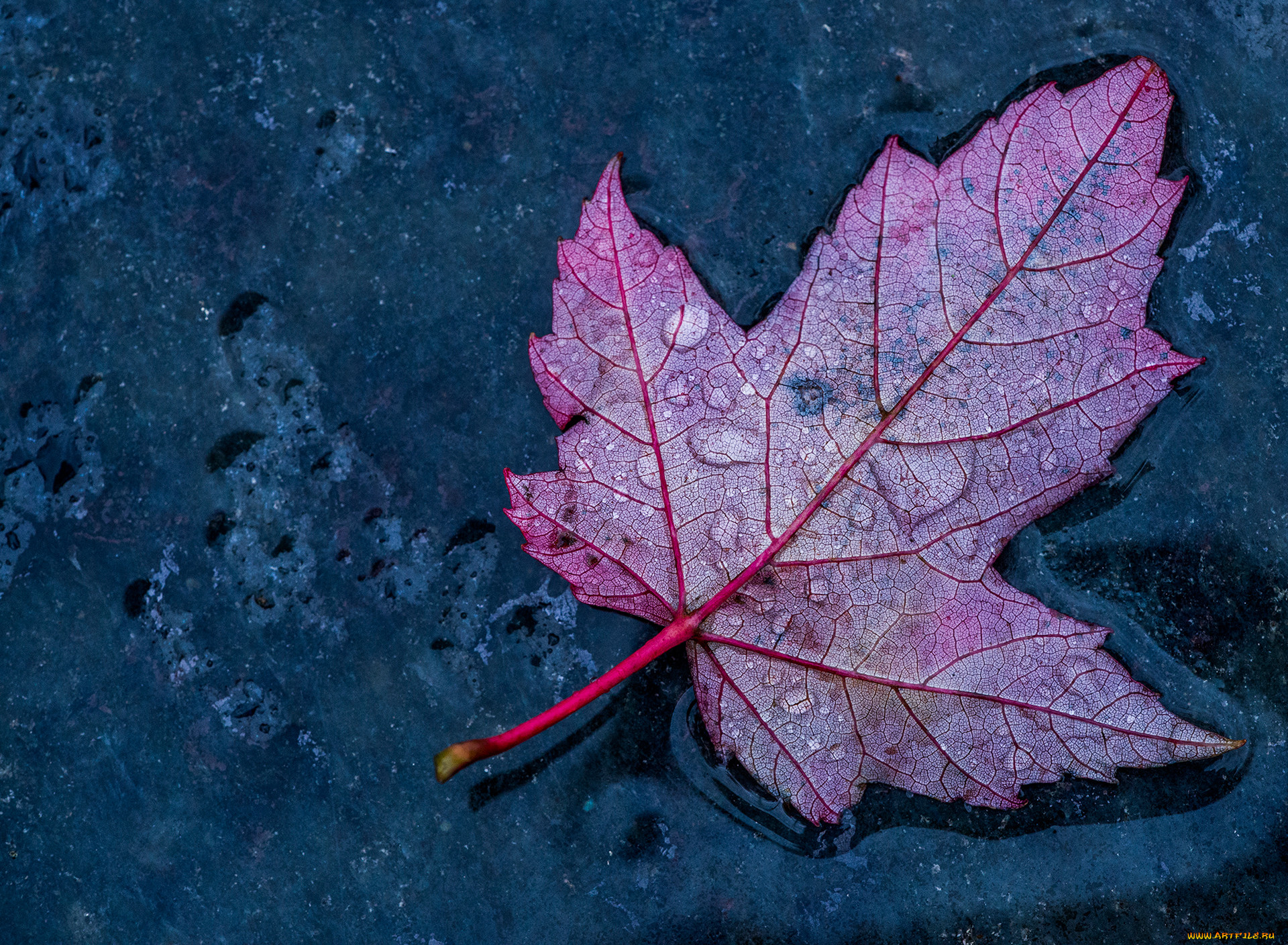 , , , , , 